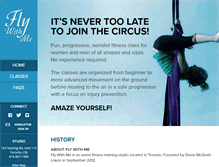 Tablet Screenshot of aerialartstoronto.com